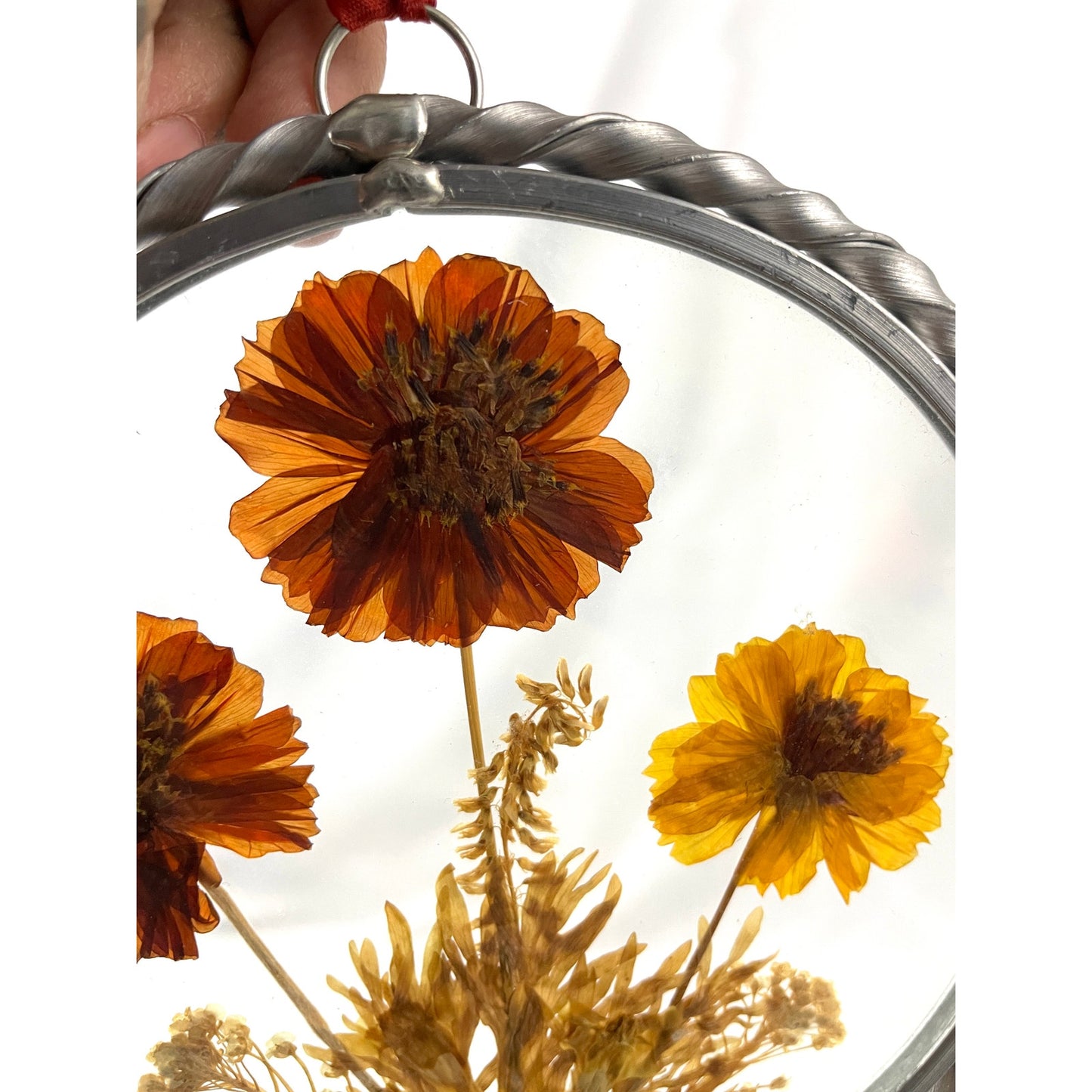 VTG 2x Real Pressed Dried Flowers Suncatcher 1940s Lasting Impressions USA Round