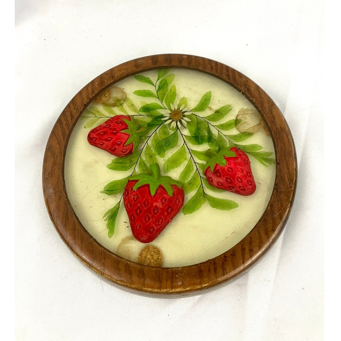 VTG Lucite Coaster Dried Flowers & Painted Strawberry Acrylic 1970's Retro Gamut