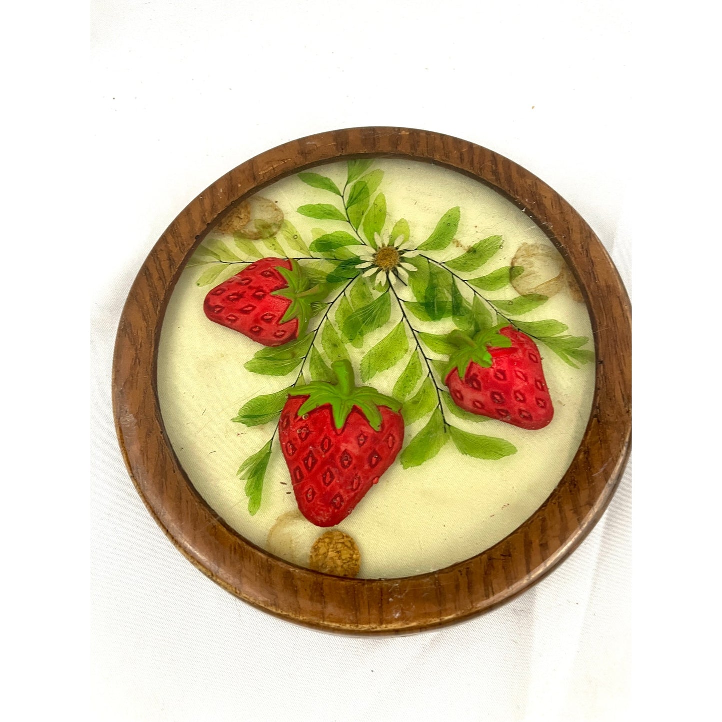 VTG Lucite Coaster Dried Flowers & Painted Strawberry Acrylic 1970's Retro Gamut