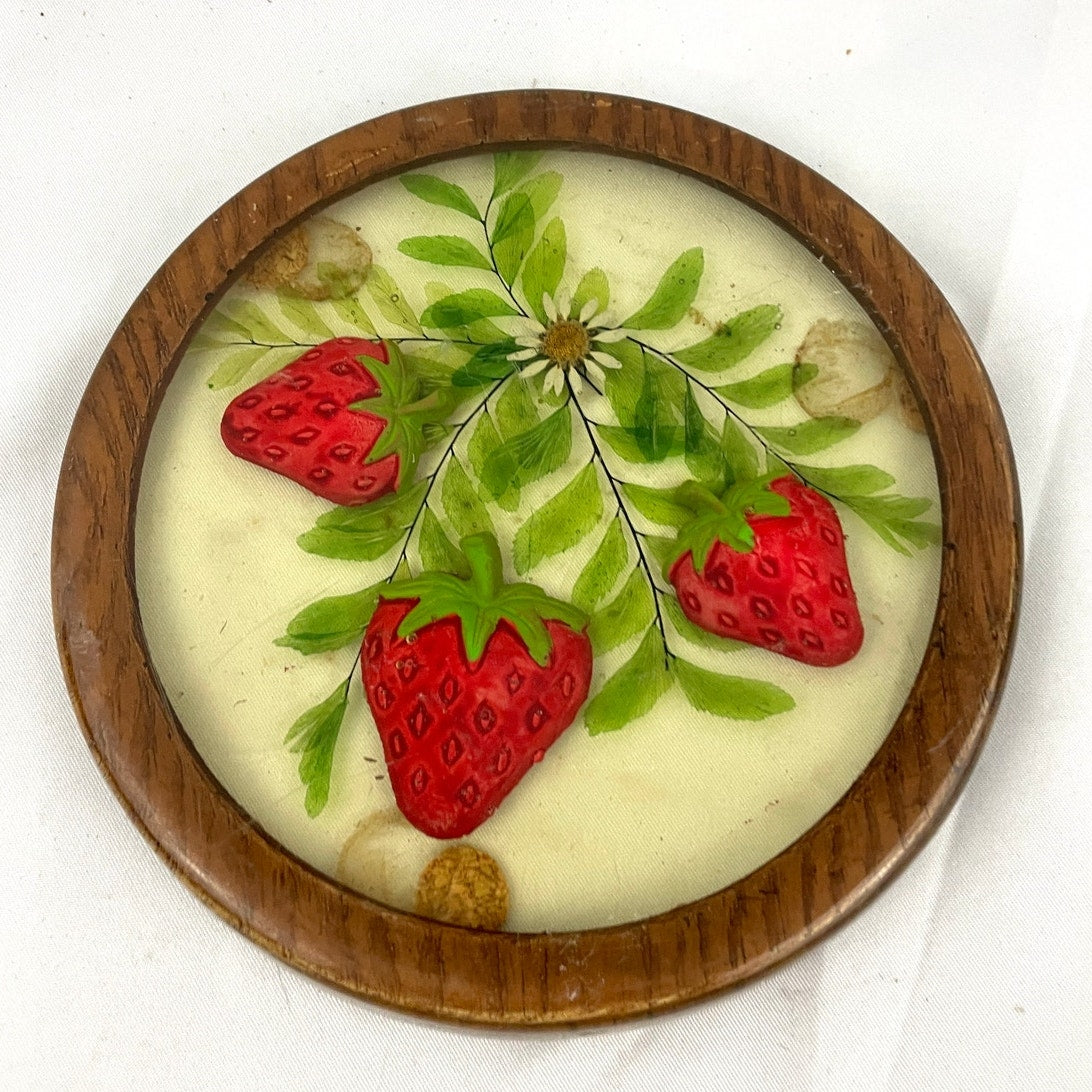 VTG Lucite Coaster Dried Flowers & Painted Strawberry Acrylic 1970's Retro Gamut