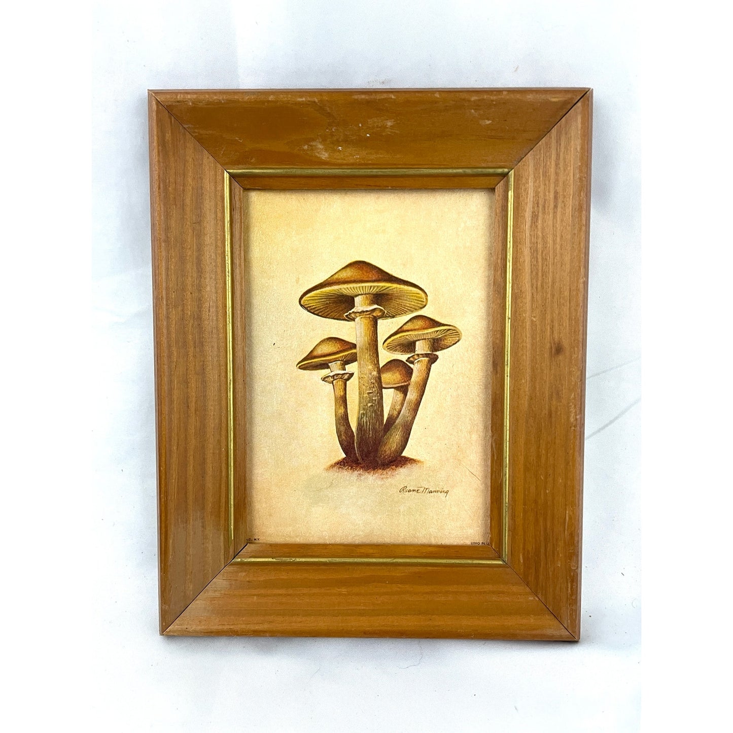 VTG Ruane Manning Study of Mushroom Print Lithograph Framed 7.25"x9.5"