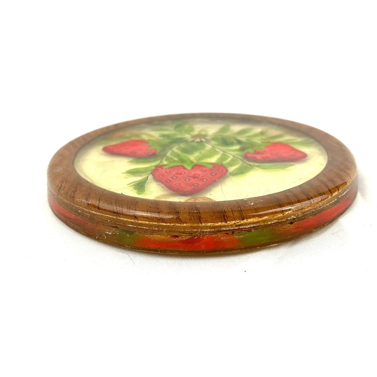 VTG Lucite Coaster Dried Flowers & Painted Strawberry Acrylic 1970's Retro Gamut