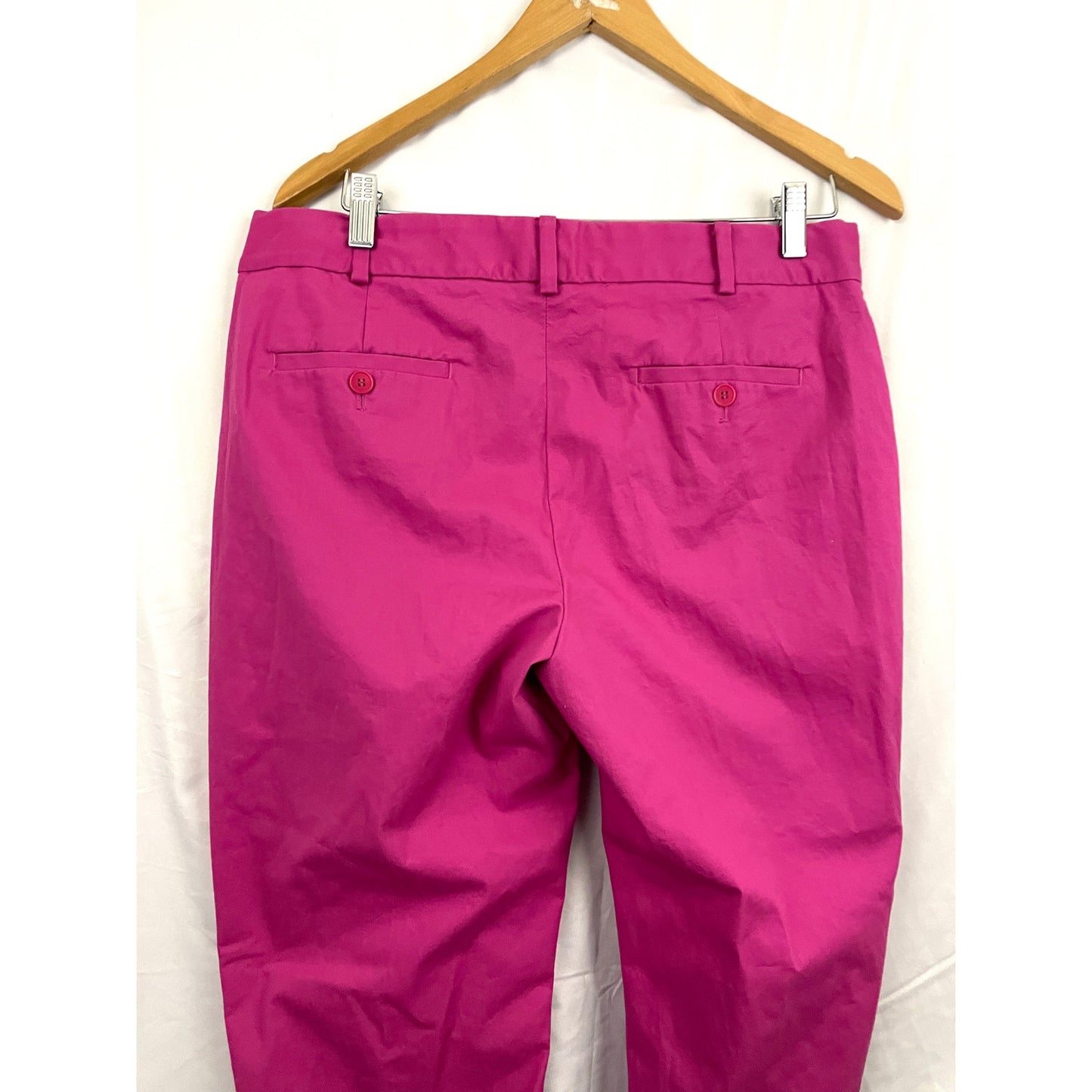 Talbots Signature Hot Pink Pants Sz 10 Trousers Slacks Casual Women's Business