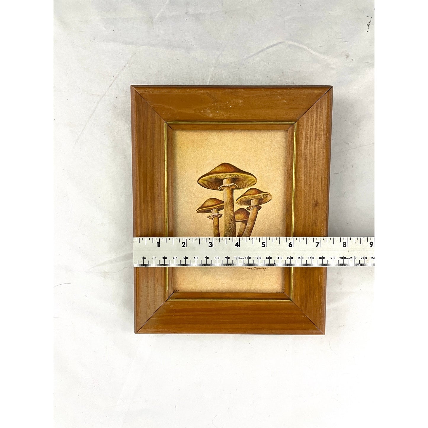 VTG Ruane Manning Study of Mushroom Print Lithograph Framed 7.25"x9.5"