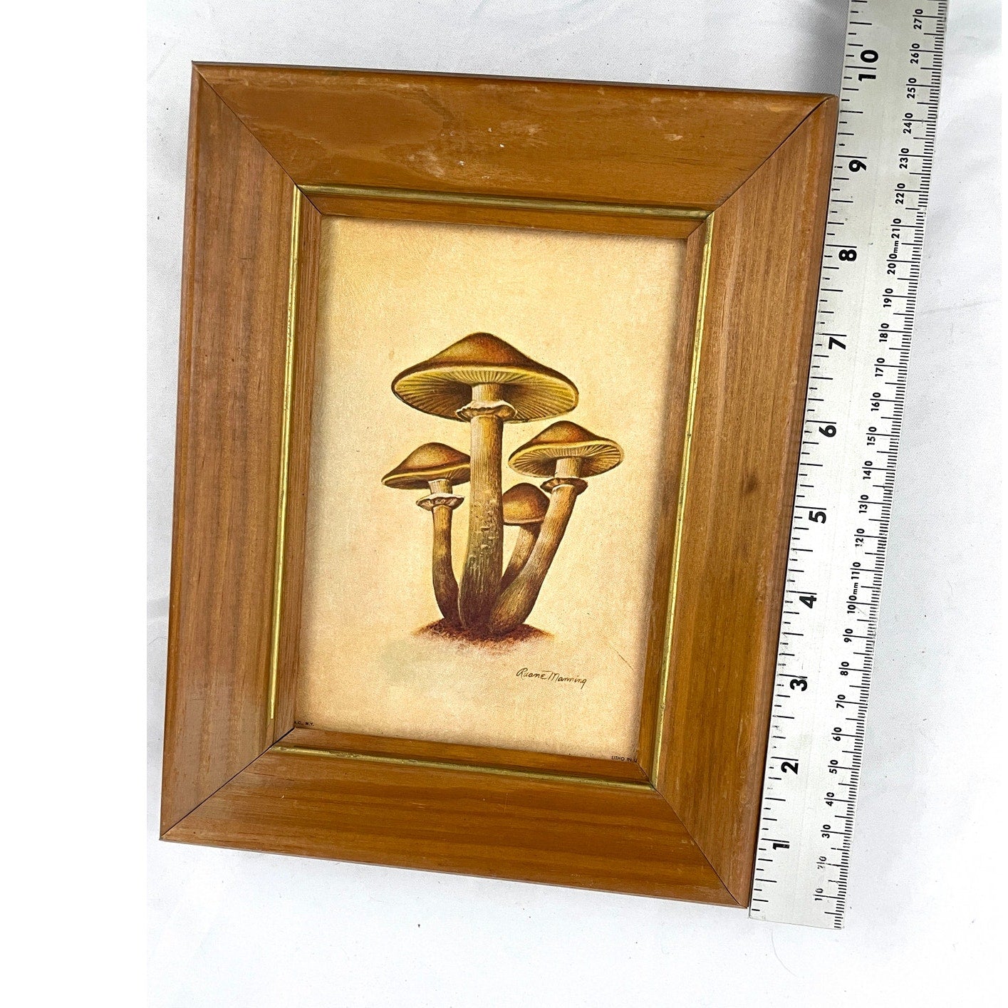 VTG Ruane Manning Study of Mushroom Print Lithograph Framed 7.25"x9.5"