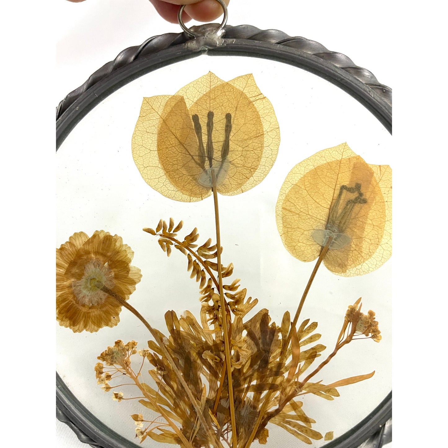 VTG 2x Real Pressed Dried Flowers Suncatcher 1940s Lasting Impressions USA Round