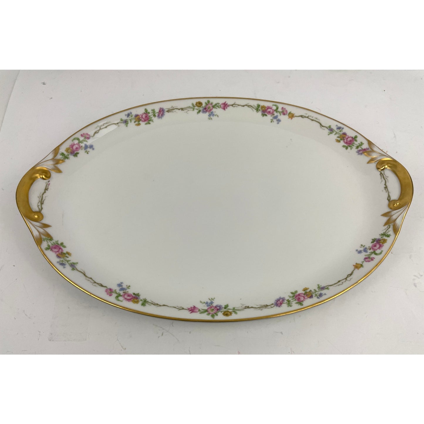 Antique GDA Limoges Oval Serving Platter 17" Discontinued Charles Field Haviland