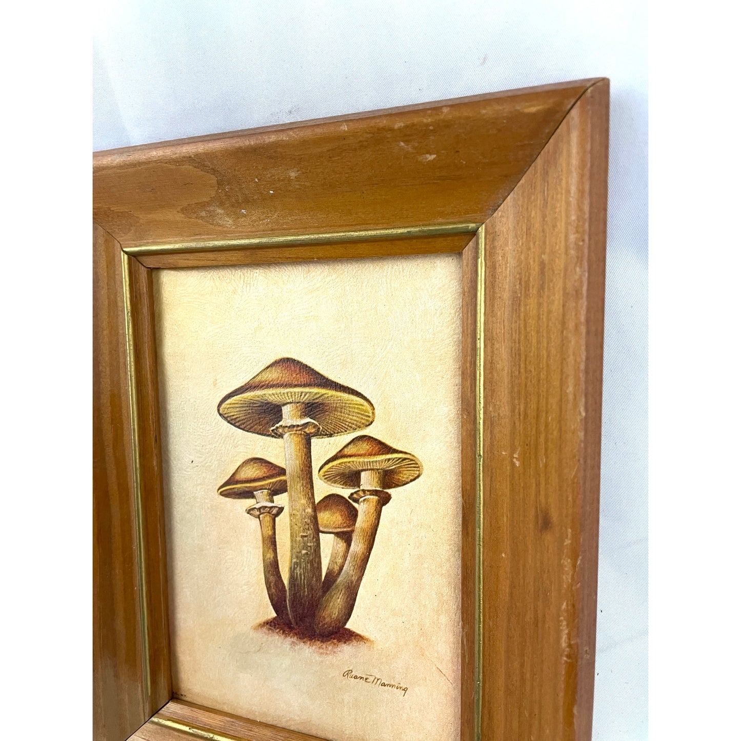 VTG Ruane Manning Study of Mushroom Print Lithograph Framed 7.25"x9.5"