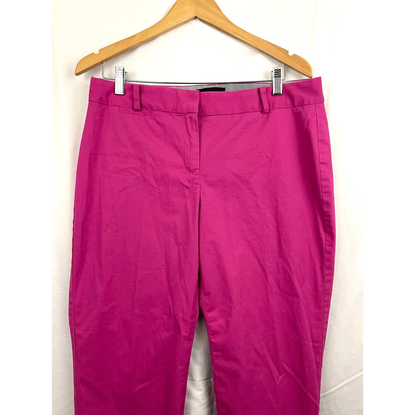 Talbots Signature Hot Pink Pants Sz 10 Trousers Slacks Casual Women's Business