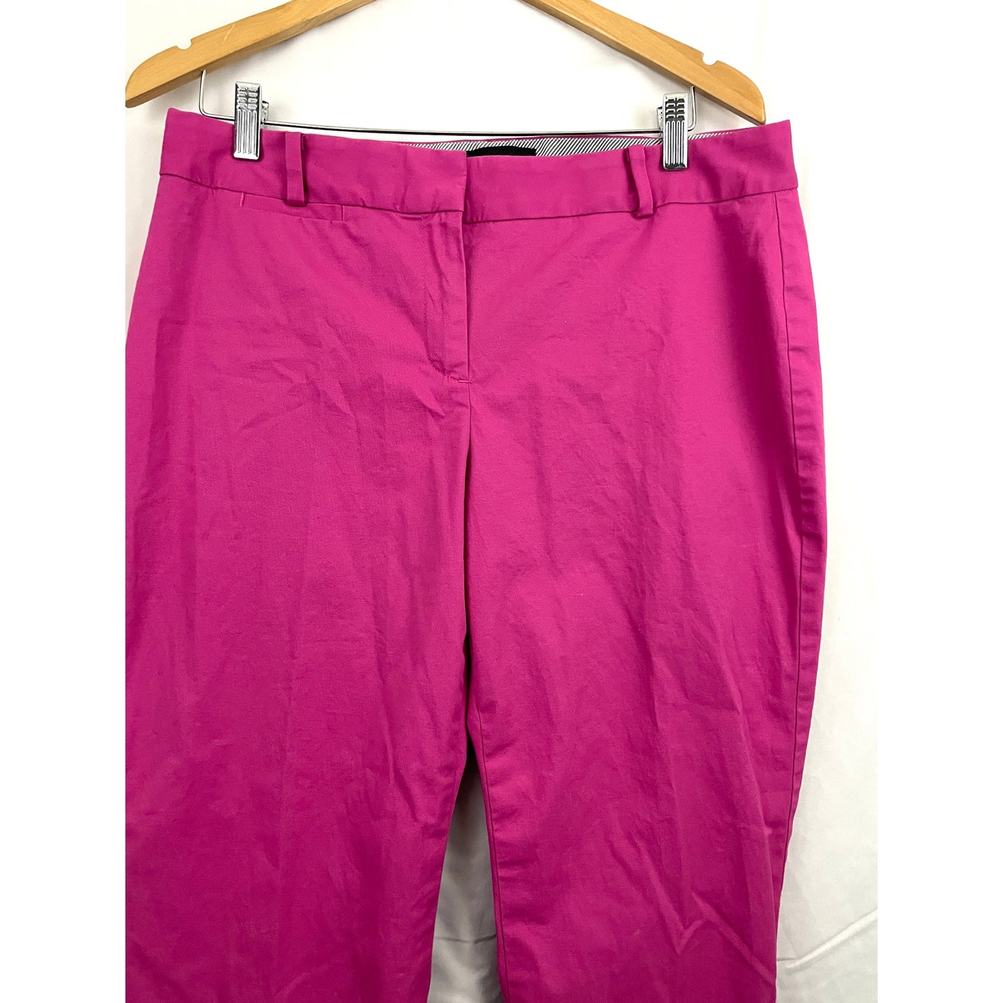 Talbots Signature Hot Pink Pants Sz 10 Trousers Slacks Casual Women's Business