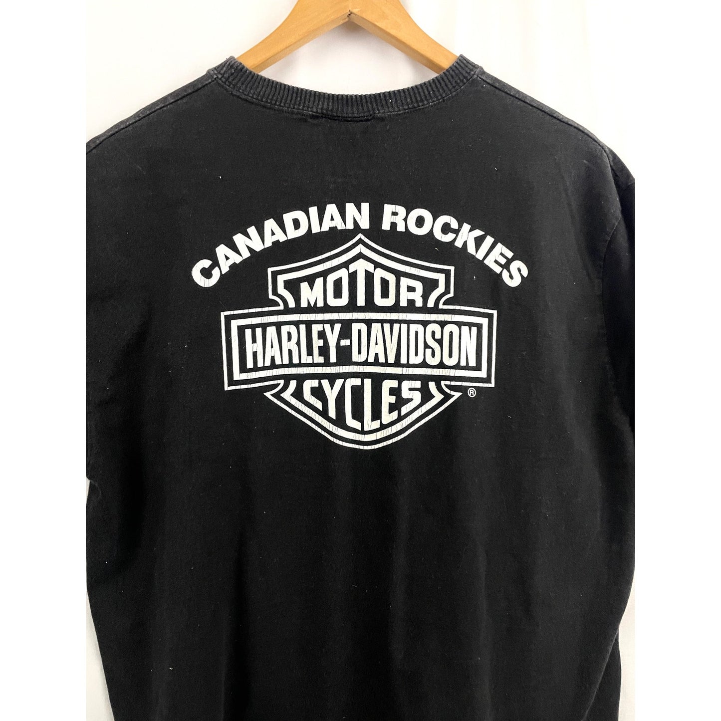 VTG Harley Davidson Motorcycles Ride A Harley T-Shirt MEDIUM 1990's