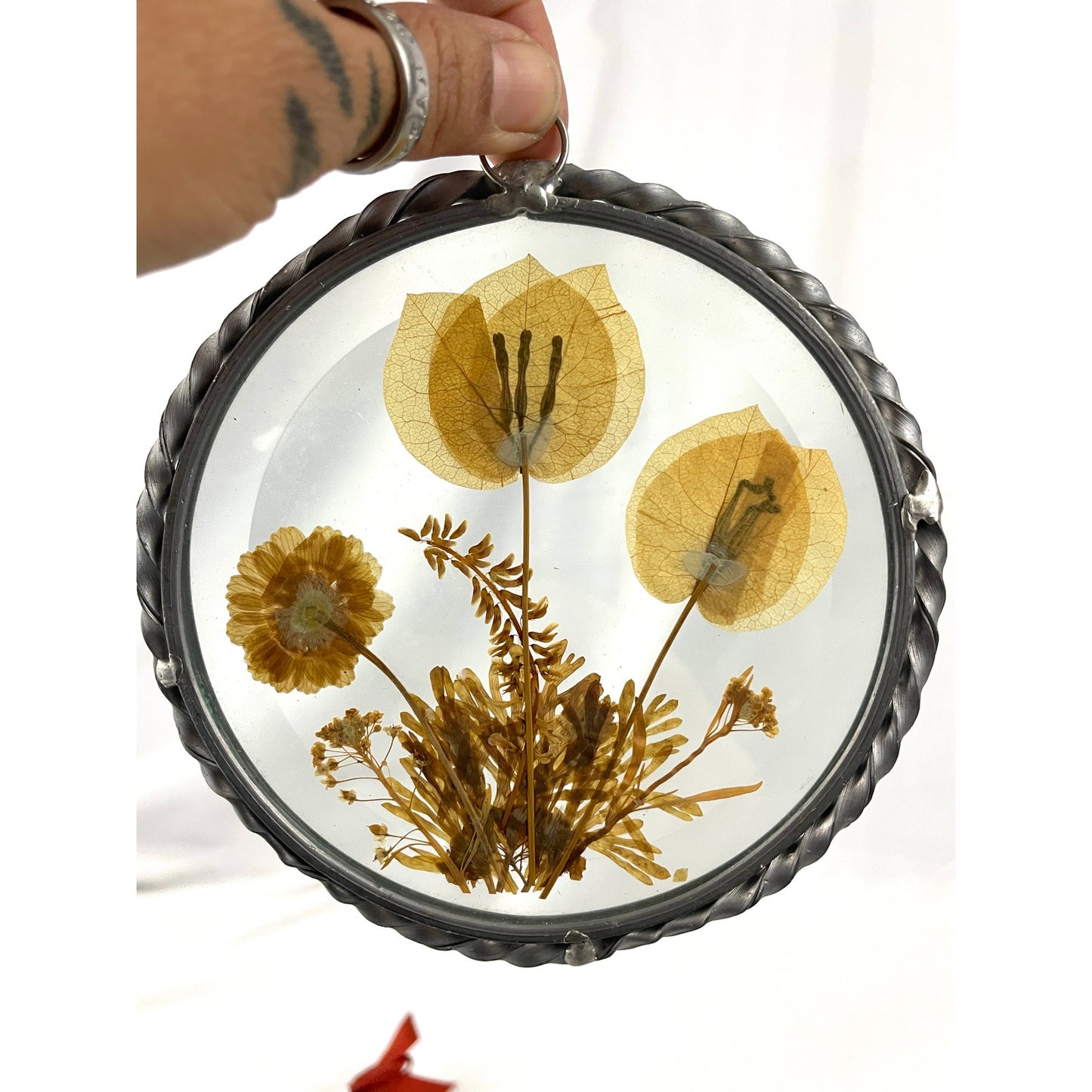 VTG 2x Real Pressed Dried Flowers Suncatcher 1940s Lasting Impressions USA Round