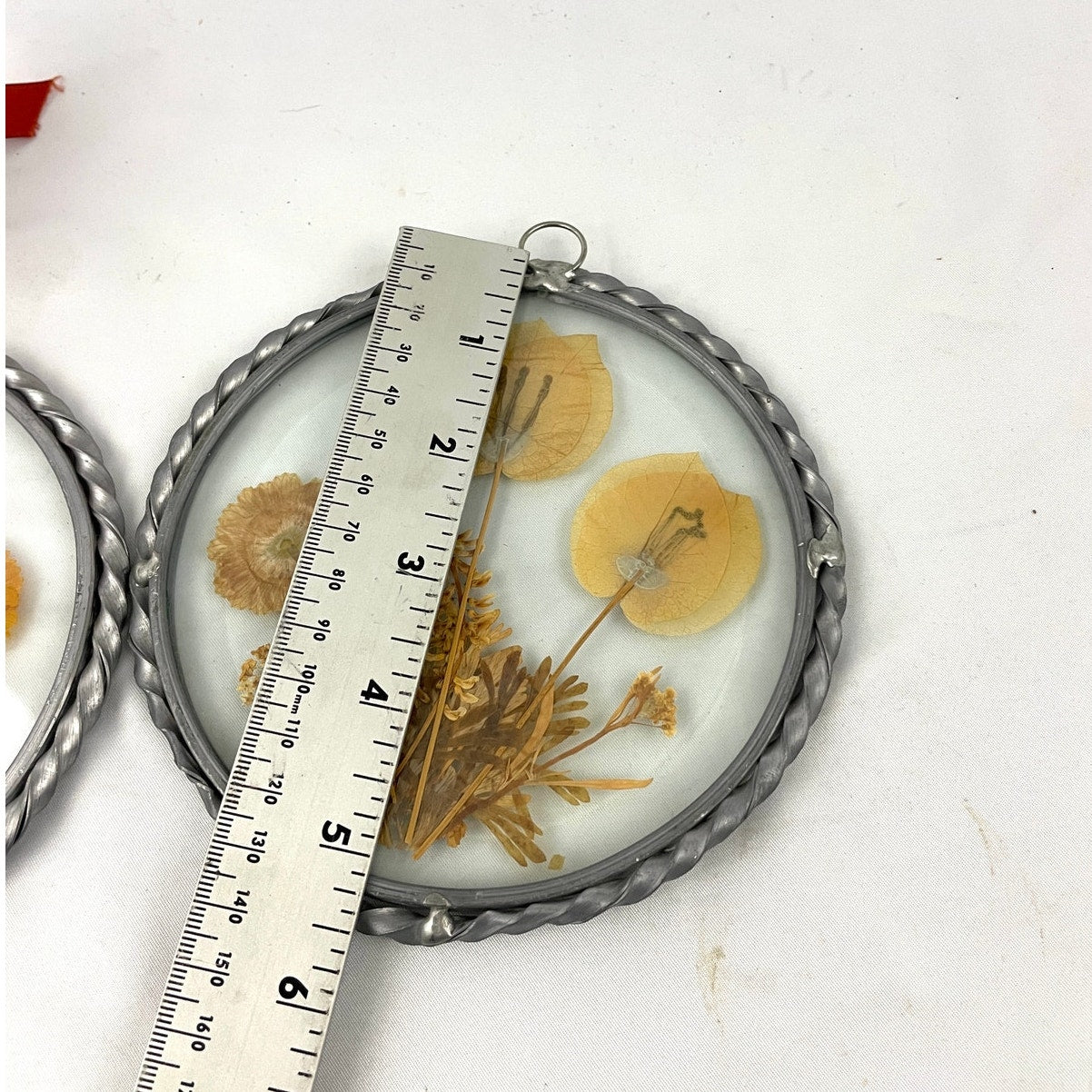 VTG 2x Real Pressed Dried Flowers Suncatcher 1940s Lasting Impressions USA Round