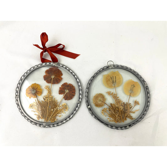 VTG 2x Real Pressed Dried Flowers Suncatcher 1940s Lasting Impressions USA Round