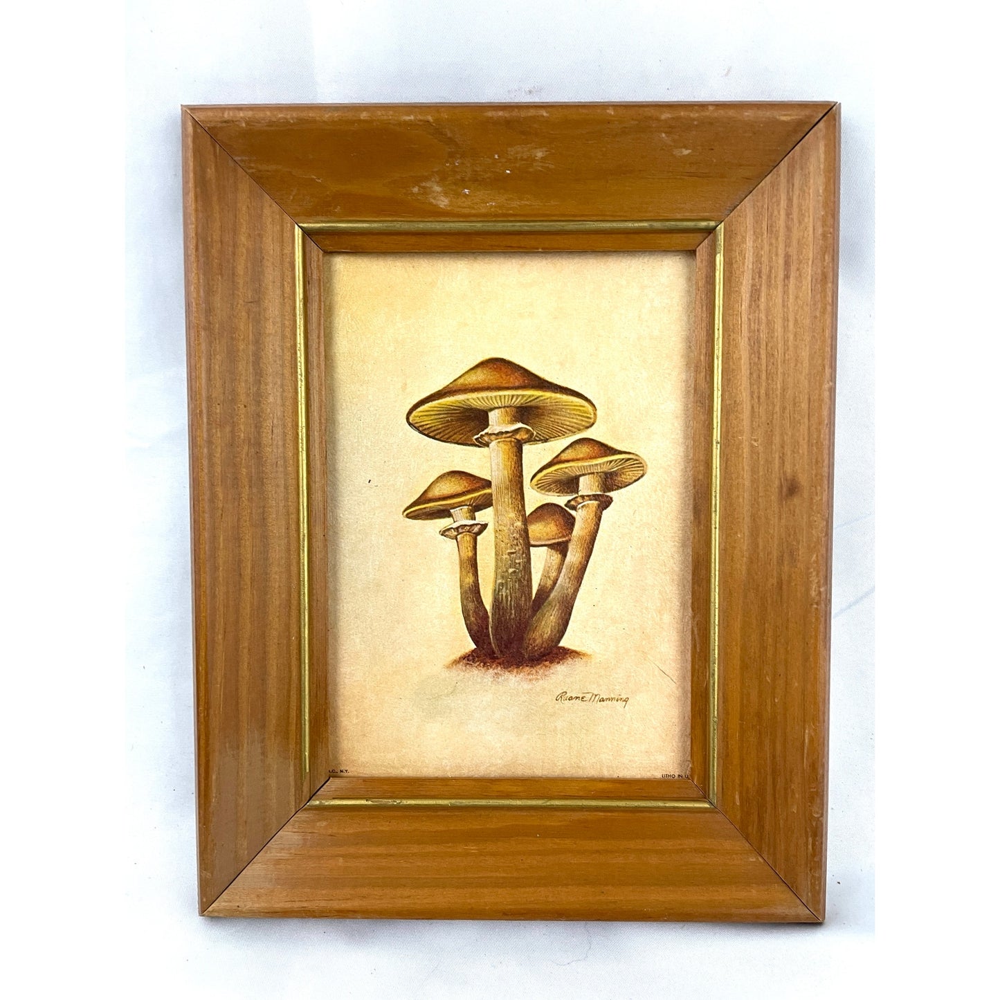 VTG Ruane Manning Study of Mushroom Print Lithograph Framed 7.25"x9.5"