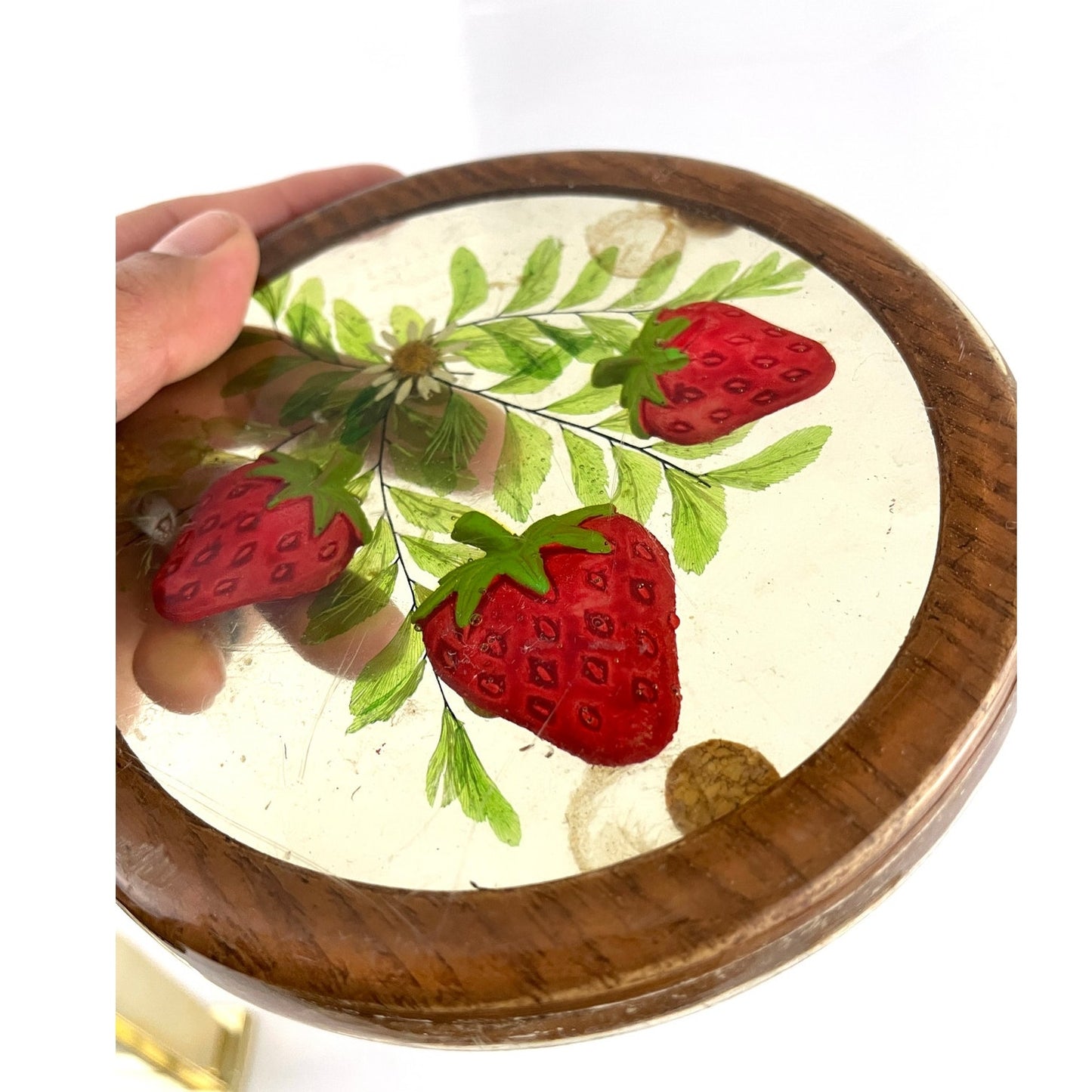 VTG Lucite Coaster Dried Flowers & Painted Strawberry Acrylic 1970's Retro Gamut